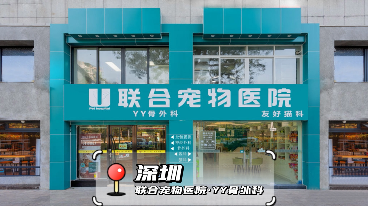 0-聯(lián)合寵物醫(yī)院.png
