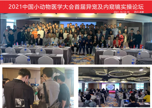 1-中國(guó)小動(dòng)物醫(yī)學(xué)大會(huì)首屆異寵及內(nèi)窺鏡論壇.jpg