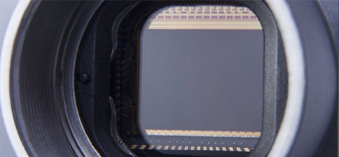 RFLSI ZW激光散斑血流成像系統(tǒng)，無與倫比的成像體驗 