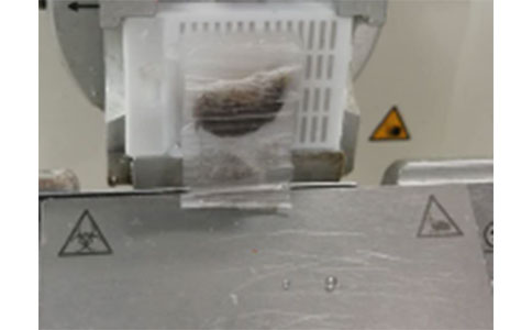 石蠟切片制作有這些問題，如何補救