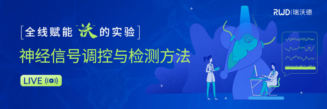 神經(jīng)信號調(diào)控與檢測方法