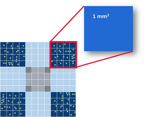 手動(dòng)Vs自動(dòng) | 你pick哪一種細(xì)胞計(jì)數(shù)方式？