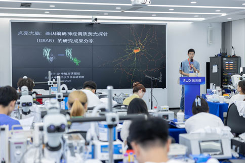 緊接著，鄭宇老師為大家?guī)怼饵c(diǎn)亮大腦：基因編碼神經(jīng)調(diào)質(zhì)熒光探針（GRAB）的研究》成果分享。