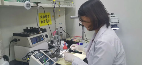 走進(jìn)浙江大學(xué)楊鴻斌課題組：光纖記錄系統(tǒng)在神經(jīng)環(huán)路研究中的應(yīng)用