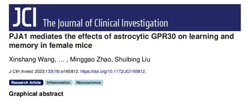 對(duì)話王欣賞副教授：我不覺得自己很優(yōu)秀，就是普普通通地努力著
