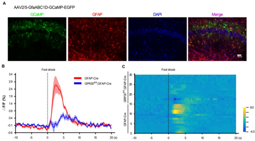 對(duì)話王欣賞副教授：我不覺得自己很優(yōu)秀，就是普普通通地努力著