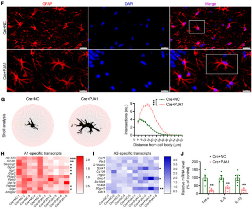 對(duì)話王欣賞副教授：我不覺得自己很優(yōu)秀，就是普普通通地努力著