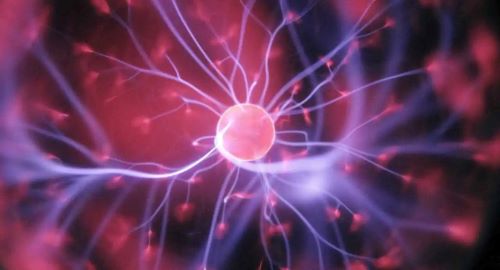 國(guó)產(chǎn)儀器積極助力，深大教授連發(fā)3篇高分SCI論文