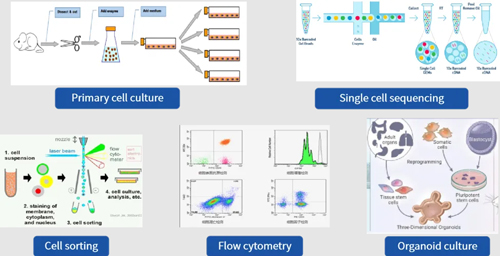 DSC-200單細(xì)胞懸液制備儀，雙通道開啟“新品鉅惠”（內(nèi)含多重優(yōu)惠福利）