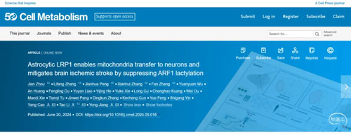 探索細(xì)胞代謝：西南醫(yī)科大學(xué)江涌團(tuán)隊(duì)周牮博士的5年創(chuàng)新研究歷程