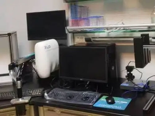 探索細(xì)胞代謝：西南醫(yī)科大學(xué)江涌團(tuán)隊(duì)周牮博士的5年創(chuàng)新研究歷程