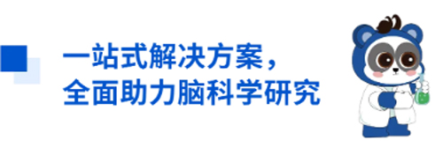 瑞沃德與您相約CNS2024，共享神經(jīng)科學(xué)學(xué)術(shù)盛宴
