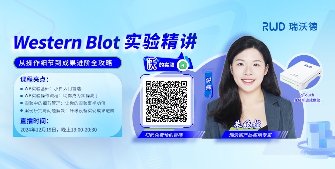 Western Blot實驗精講：從操作細節(jié)到成果進階全攻略（內(nèi)含干貨資料）