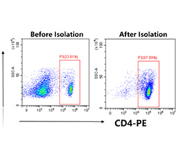 鏈霉親和素納米磁珠（科研級）